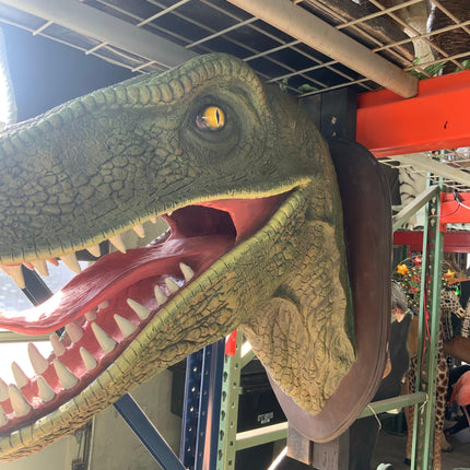 Green Velociraptor Dinosaur Head Life Size Statue - LM Treasures 