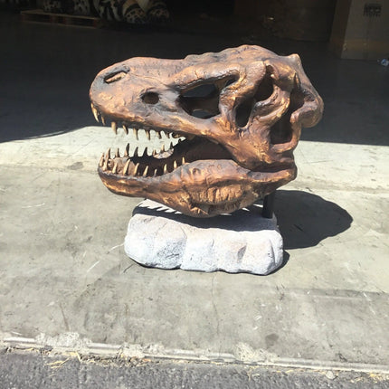 T-Rex Dinosaur Skull Head Life Size Statue LM Treasures - A