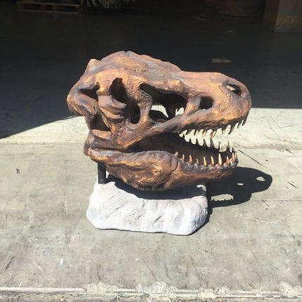 T-Rex Dinosaur Skull Head Life Size Statue LM Treasures - A