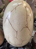 Large Dinosaur Egg On Rock Life Size Statue - LM Treasures Life Size Statues & Prop Rental
