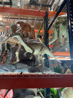 Iguanont Dinosaur Life Size Statue - LM Treasures 
