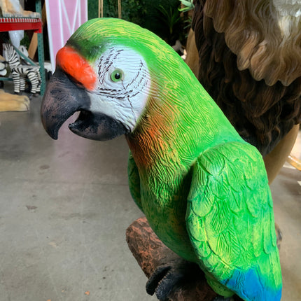 Green Macaw Buffon Parrot On Branch Life Size Statue - LM Treasures 