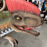 Venenifer No Dorsal Fin Dinosaur Life Size Statue - LM Treasures 