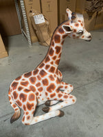 Laying Baby Giraffe Life Size Statue - LM Treasures Life Size Statues & Prop Rental