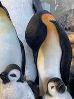 Male Penguin Life Size Statue - LM Treasures Life Size Statues & Prop Rental