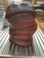 Hippo Head Life Size Statue - LM Treasures 