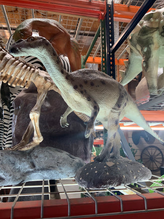 Iguanont Dinosaur Life Size Statue - LM Treasures Life Size Statues & Prop Rental