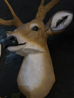 Small Buck Deer Head Statue - LM Treasures 