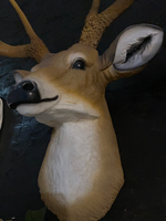 Buck Deer Head Life Size Statue - LM Treasures Life Size Statues & Prop Rental
