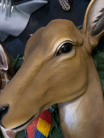 Antelope Head Life Size Statue - LM Treasures Life Size Statues & Prop Rental