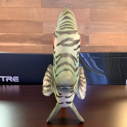 Discus Fish Statue - LM Treasures 