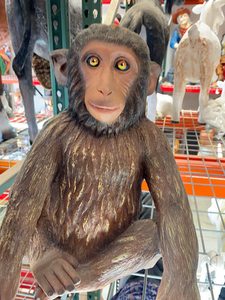 Monkey Hunky Chimpanzee Life Size Statue - LM Treasures 
