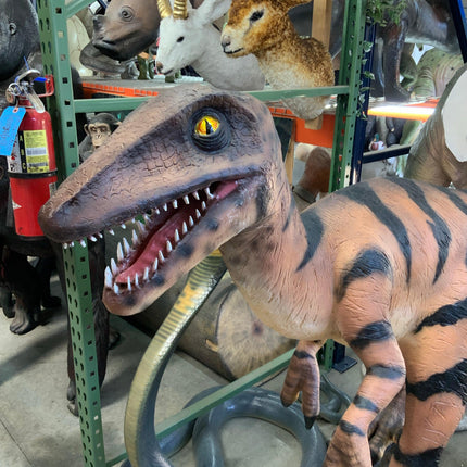 Velociraptor Dinosaur Life Size Statue - LM Treasures 