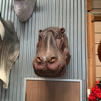 Hippo Head Life Size Statue - LM Treasures 