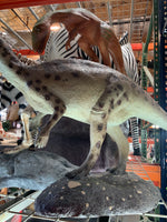 Iguanont Dinosaur Life Size Statue - LM Treasures Life Size Statues & Prop Rental