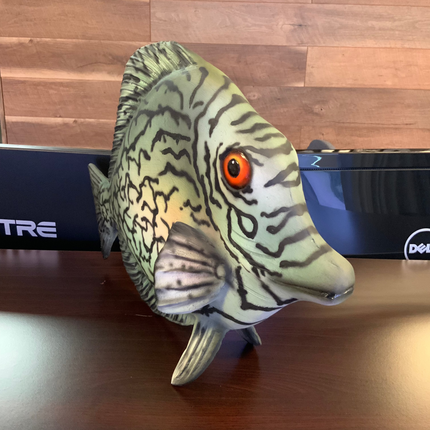 Discus Fish Statue - LM Treasures 