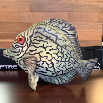 Discus Fish Statue - LM Treasures 