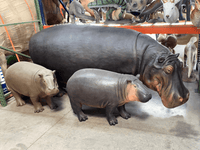 Gray Baby Hippo Life Size Statue - LM Treasures 