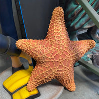 Comic Cushion Starfish Statue - LM Treasures 