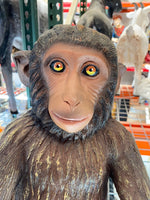 Monkey Hunky Chimpanzee Life Size Statue - LM Treasures Life Size Statues & Prop Rental
