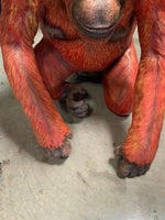 Orangutan Sitting Life Size Statue - LM Treasures Life Size Statues & Prop Rental