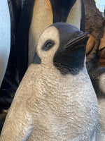 Young Penguin Statue - LM Treasures 