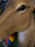 Antelope Head Life Size Statue - LM Treasures Life Size Statues & Prop Rental