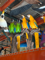 Green Macaw Buffon Lover Parrots On Branch Life Size Statue - LM Treasures 