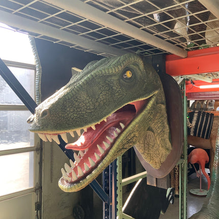 Green Velociraptor Dinosaur Head Life Size Statue - LM Treasures 