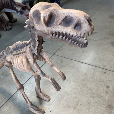 Baby T-Rex Dinosaur Skeleton Life Size Statue - LM Treasures 