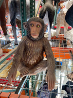 Monkey Hunky Chimpanzee Life Size Statue - LM Treasures Life Size Statues & Prop Rental
