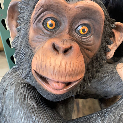 Monkey Chimpanzee Congo Life Size Statue - LM Treasures 