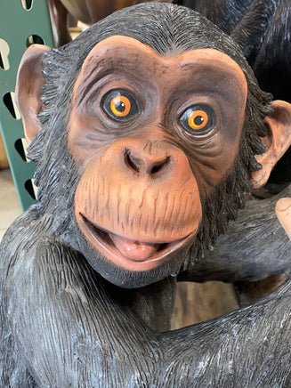 Monkey Chimpanzee Congo Life Size Statue - LM Treasures 