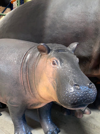 Baby Hippo Life Size Statue - LM Treasures 