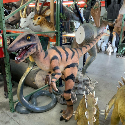 Velociraptor Dinosaur Life Size Statue - LM Treasures 
