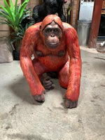 Orangutan Sitting Life Size Statue - LM Treasures Life Size Statues & Prop Rental