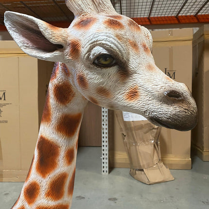 Laying Baby Giraffe Life Size Statue - LM Treasures 