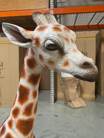 Laying Baby Giraffe Life Size Statue - LM Treasures Life Size Statues & Prop Rental
