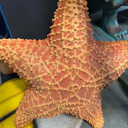 Comic Cushion Starfish Statue LM Treasures - PT