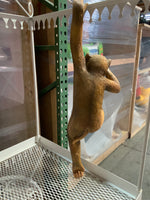 Monkey Pilo Chimpanzee Life Size Statue - LM Treasures 