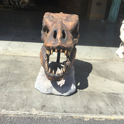 T-Rex Dinosaur Skull Head Life Size Statue LM Treasures - A
