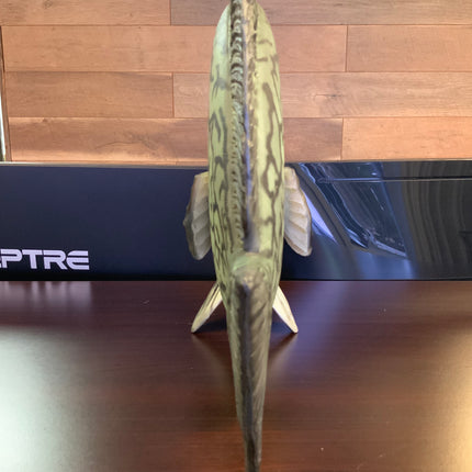 Discus Fish Statue - LM Treasures 