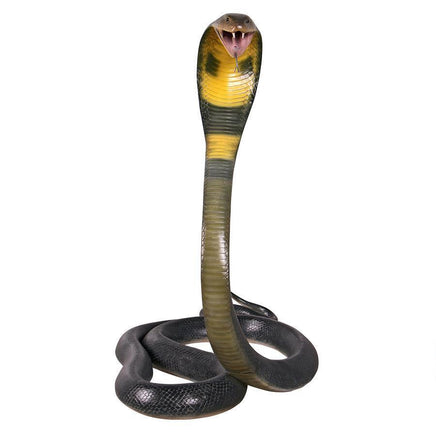 King Cobra Snake Life Size Statue - LM Treasures 