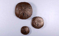 Shell Sand Dollars Set of 3 Beach Prop Resin Decor Statue - LM Treasures 