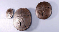 Shell Sand Dollars Set of 3 Beach Prop Resin Decor Statue - LM Treasures 