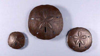 Shell Sand Dollars Set of 3 Beach Prop Resin Decor Statue - LM Treasures 