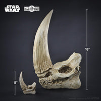 Star Wars Mudhorn Skull -The Mandalorian™ - Wall Decor Regal Robot - LM Treasures 