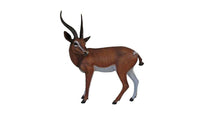 Gazelle Life Size Statue - LM Treasures 