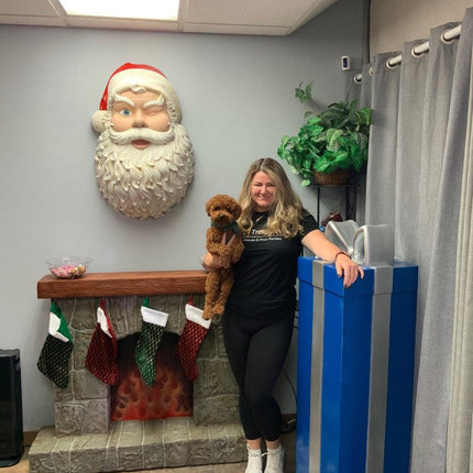 Santa Head Wall Decor Statue - LM Treasures 